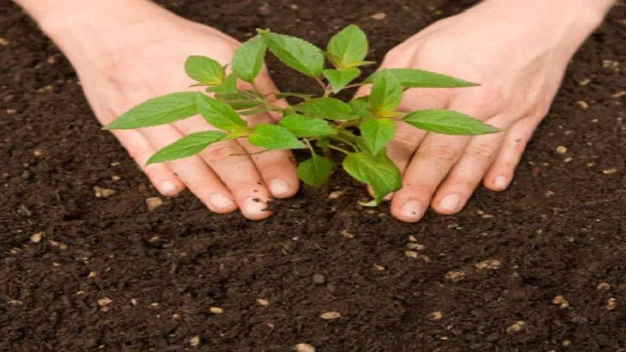 raipur 1 V jpg 1280x720 4g