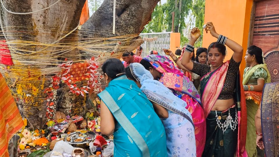 vata savatara paja 608e5d7dc2634fc3e2c46a85568738a7