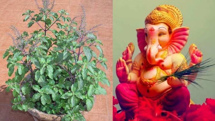 गणेश जी की पूजा में तुलसी क्यों है वर्जित, जानिए इसके पीछे छिपी अनोखी पौराणिक कहानी … 1 ganpati