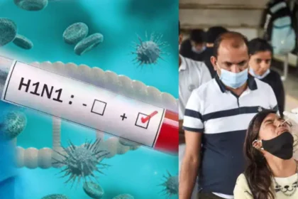 chhattisgarh swine flu