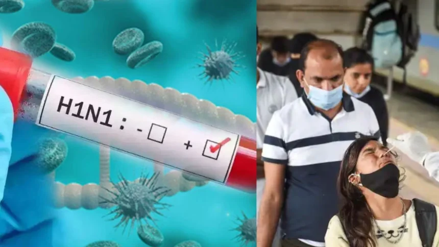 chhattisgarh swine flu