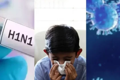 chhattisgarh swine flu cases