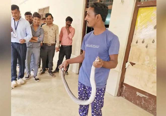 snake kaichar maut