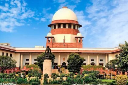Supreme Court on Free Electricity Scheme