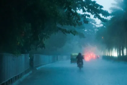 rain 1